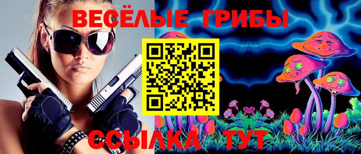A-PVP Солнечногорск